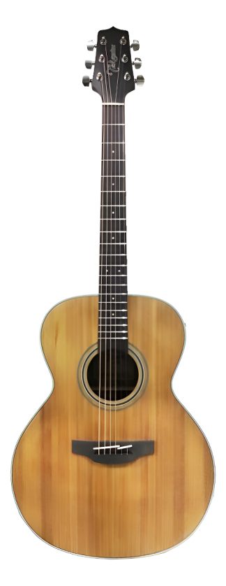 Takamine Gn20 Guitarra Acustica Nex Jumbo Tapa Solida