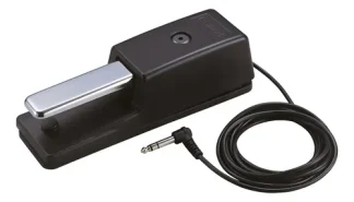 Roland Dp10 Pedal De Sustain