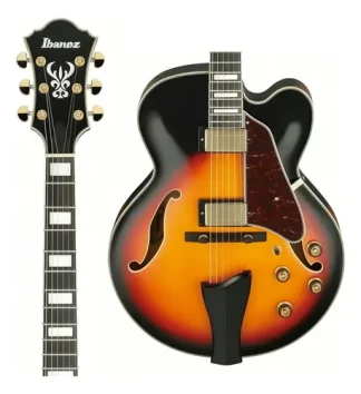 Ibanez Af95 Guitarra Electrica Cuerpo Hueco 22 Trastes Color Brown Sunburst Material Del Diapasón Bound Macassar Orientación De La Mano Diestro