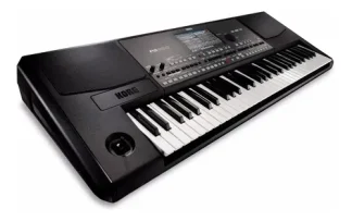 Teclado Korg Pa600 61 Teclas Sensitivas Con Interfaz Midi Y Grabador Negro