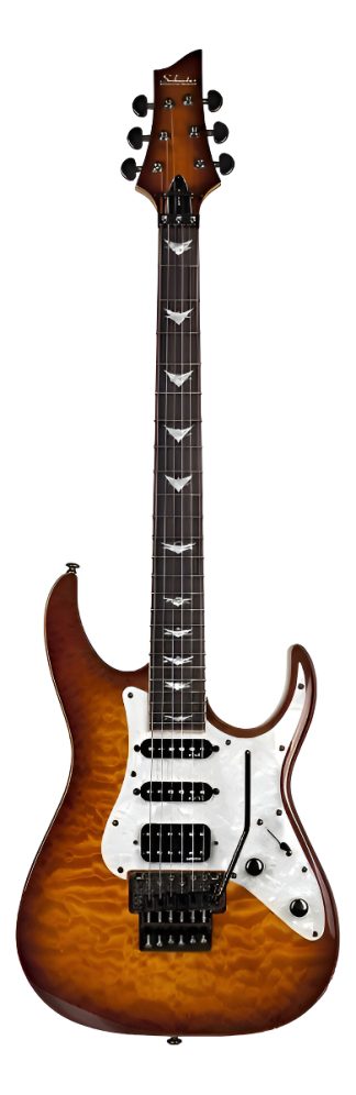 Schecter Banshee Extreme 6 Fr Floyd Rose Ssh Thru Body