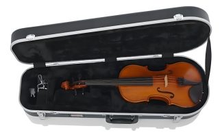 Estuche Rígido De Lujo Gator Gc-violin Para Violín 4/4
