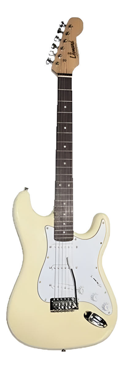 Guitarra Eléctrica Leonard Le362 Stratocaster Aliso Diapasón Palo De Rosa Ivory