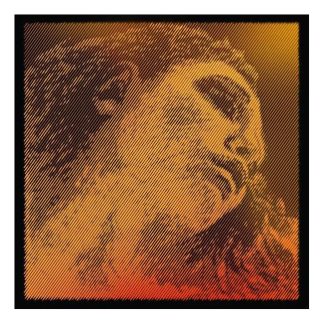 Pirastro Evah Pirazzi Gold Encordado Para Violin Sol Plata