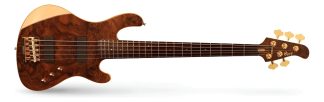 Cort Rithimic V Jeff Berlin Signature Bajo 5 Cuerdas