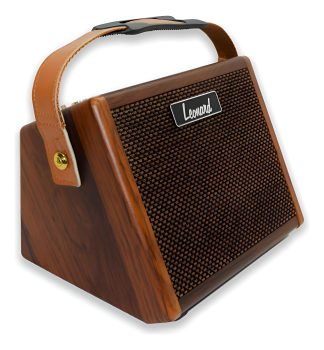 Leonard Amplificador Acustica Microfono 15 Watts Recargable