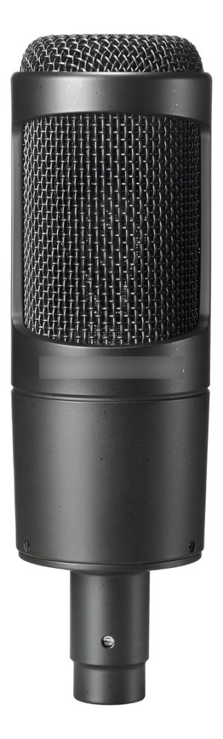 Audio Technica At2035 Microfono Condenser Ideal Grabacion Negro