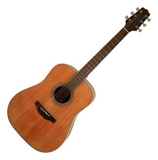 Takamine Gd20 Guitarra Acustica Dreadnought Tapa Maciza