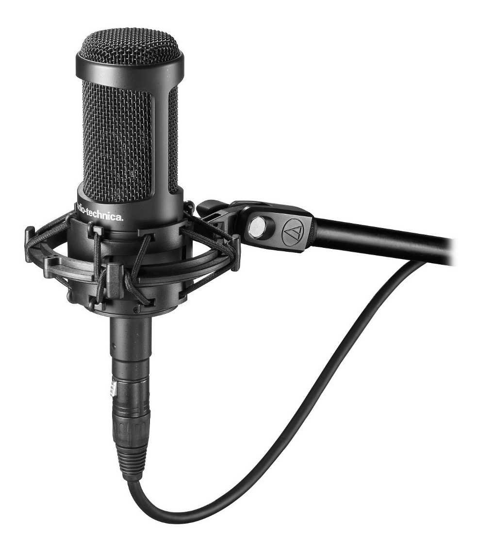 Audio Technica At2050 Microfono Condenser Multipatron Negro