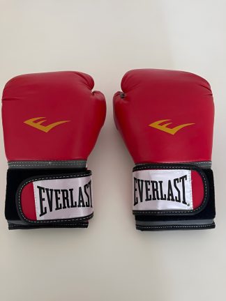 Guantes Everlast Boxeo 12 Oz Usados Impecable