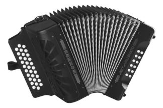 Acordeón Diatónico Hohner Rey Vallenato 31 Teclas 12 Bajos Negro