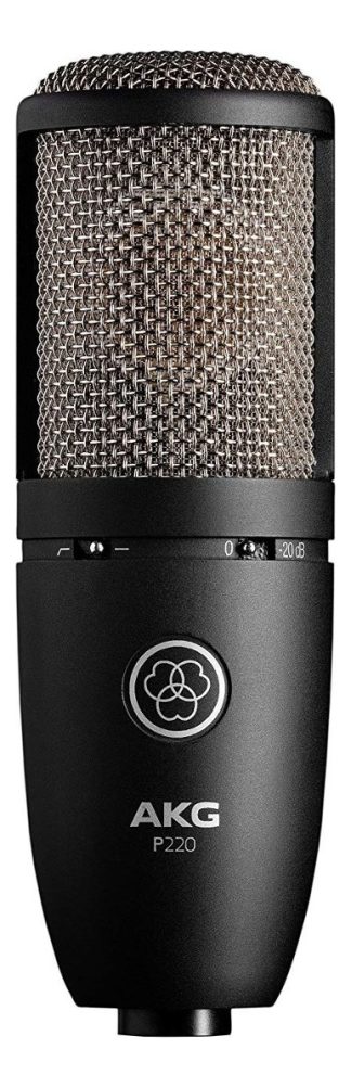 Micrófono Akg P220 Condensador Cardioide Color Negro