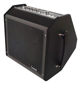 Leonard Amplificador Para Bateria Teclado 30 Watts Bluetooth