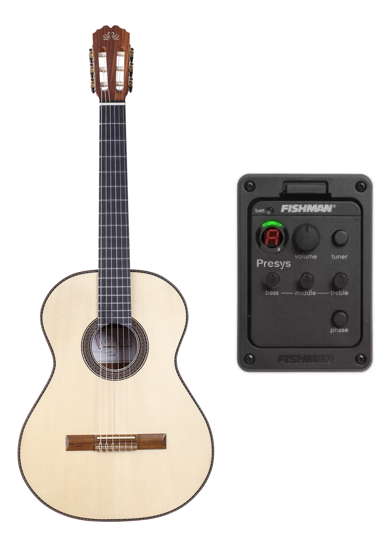 Alpujarra 90 Psy Guitarra Electro Criolla Fishman Presys