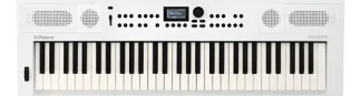Roland Go Keys 5 Teclado Sintetizador 61 Teclas