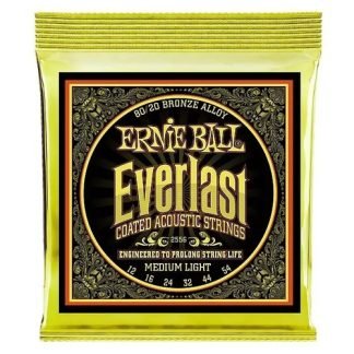Ernie Ball 2556 Jgo Cuerdas Guitarra Everlast Coated 12-54