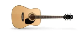 Cort Ad880 Guitarra Acustica Ns Cuerdas Acero Funda