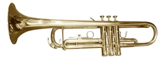 Trompeta Ocean Otr190 De Latón Dorado Con Estuche Y Boquilla