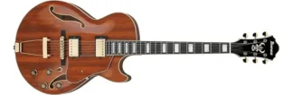 Ibanez Ag95k Guitarra Electrica Hollow Body Expressionist Color Natural Material Del Diapasón Bound Macassar Ebony Orientación De La Mano Diestro