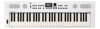 Teclado Sintetizador Digital Roland Go Keys 5 Portable Color Blanco