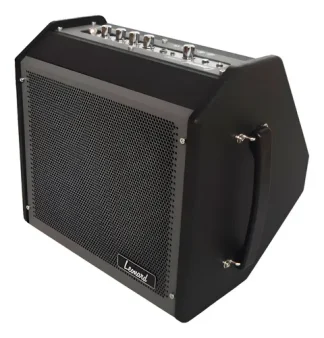 Amplificador Multipropósito Leonard De 30w Para Batería, Teclado Y Voz Con Bluetooth Negro