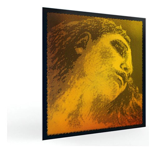 Cuerdas Violin 4/4 Evah Pirazzi Gold Sol Plata Pirastro 4 Unidades