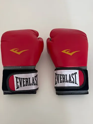 Guantes Everlast Boxeo 12 Oz Usados Impecable