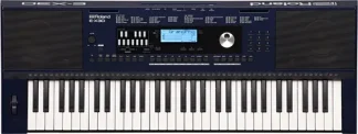 Roland Ex30 Teclado Arranger 61 Teclas Latinos Oriental