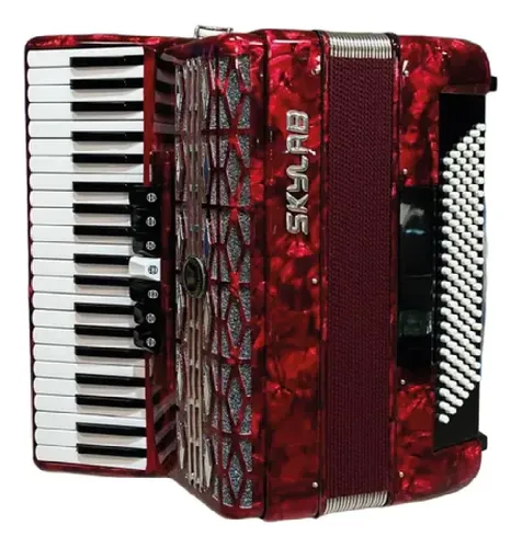 Skylab Sk120 Acordeon A Piano 120 Bajos 41 Teclas Funda